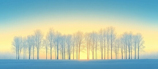 Poster - Winter landscape with tall trees silhouetted against a blue sky and warm evening light highlighting their branches and frosty surroundings.