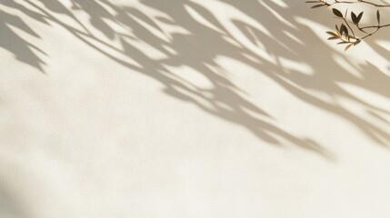 Aufkleber - Minimalist Textured Surface with Soft Shadows Modern Telehealth Communication and Workspace Design for Digital Wellness and Simplicity