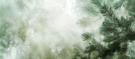 Poster - Blurry pine tree leaf wallpaper pattern with soft green tones and natural textures for serene interior decor and design projects.