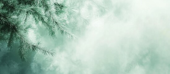 Poster - Pine Tree Leaf Abstract Wallpaper with Soft Focus and Blurry Green Tones for Tranquil Natural Background Design