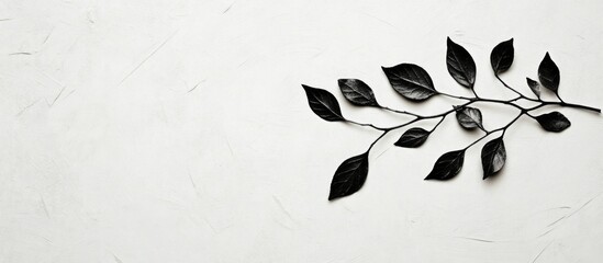Poster - Black leaf branch silhouette positioned elegantly on a textured white background for a minimalist and nature-inspired design.