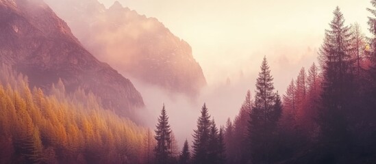 Poster - Autumn sunrise illuminating majestic mountains and dense forest with serene ambiance and space for your creative text.