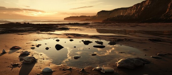 Poster - Scenic Low Tide Landscape with Reflections at Sunset on Rocky Beach