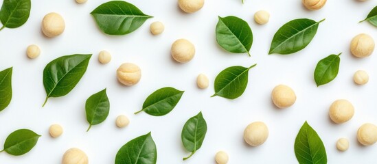 Poster - Macadamia nuts and vibrant green leaves arranged on a clean white background creating a fresh organic aesthetic.