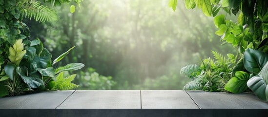 Poster - Lush Green Forest Background Ideal for Photography with Space for Custom Text or Overlays