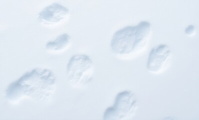 Sticker - Footprints in fresh white snow