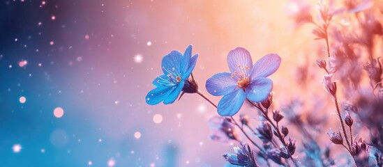 Poster - Macro Shot of Vibrant Blue and Purple Flowers against a Cosmic Galaxy Background Ideal for Text Overlay or Graphic Design Projects