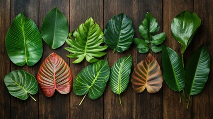 Poster - Vibrant Tropical Leaves Arranged on Rustic Wooden Table Surface for Nature and Interior Design Themes