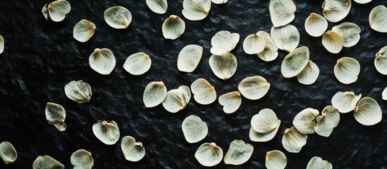 Poster - Lotus seeds scattered over a textured black background with artistic pattern elements creating a striking visual composition.