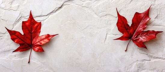 Poster - Red maple leaves arranged on textured tile background with empty space for design or text above and below the leaves.