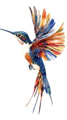 Wall Mural - Stunning Hummingbird Captured in Mid-Flight Against a Crisp White Background