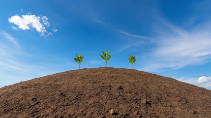 Aufkleber - Vibrant Eco Initiative Saplings on Fertile Soil Under Bright Skies - Sustainable Landscape Solutions for Climate Action and Environmental Awareness Campaigns