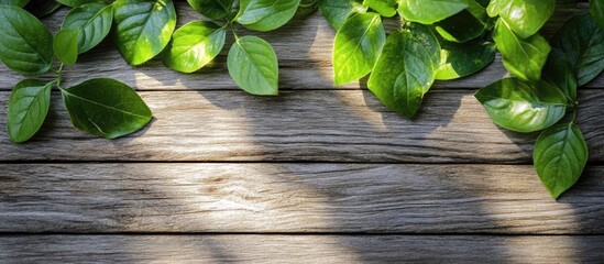 Wall Mural - Rustic wooden surface with vibrant green leaves creating a natural and inviting background for design or photography projects