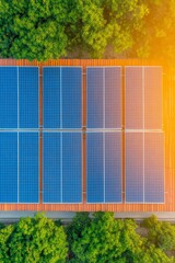 Poster - Aerial Solar Panel Layout Geometric Blue-Grid on Industrial Roof with Walkways - Clean Energy Imagery for Sustainable Business and Infrastructure Development