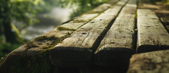 Sticker - Weathered wooden planks with moss surrounded by lush greenery creating a serene natural atmosphere near a quiet water source