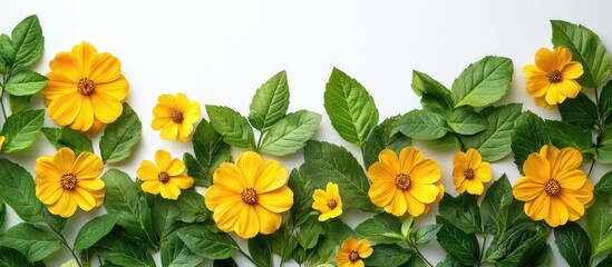 Poster - Yellow floral pattern with green leaves on white background ideal for design projects and text placement. Bright and fresh imagery.