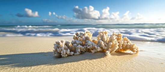 Poster - Coral fragments on sandy beach with gentle waves and blue sky showcasing the impact of nature on coastal ecosystems