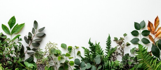 Poster - Green and brown foliage with a minimalist white wall background showcasing a natural and elegant botanical arrangement