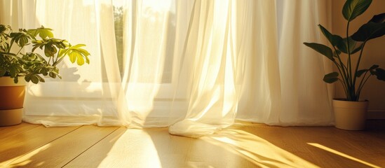 Poster - Sunlight Streaming Through Sheer Curtains with Indoor Plants on Floor in Warm, Inviting Atmosphere