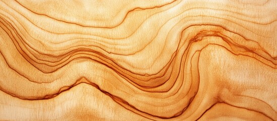 Poster - Natural wood grain texture in plywood board with flowing patterns and warm tones suitable for background design or construction projects
