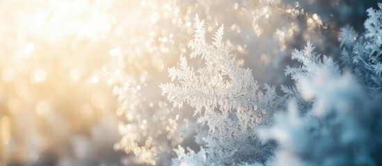 Poster - Frosty glass texture illuminated by soft sunlight highlighting intricate winter patterns