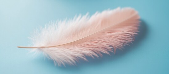 Poster - Delicate pink pigeon feather resting on a serene blue surface showcasing softness and elegance in minimalistic design.