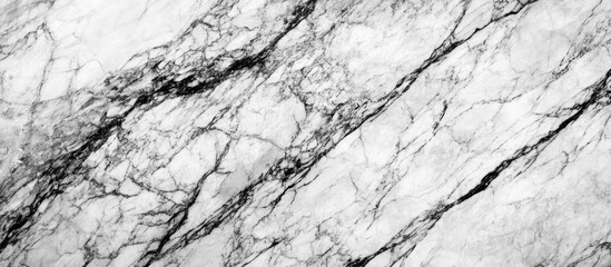 Poster - Elegant polished granite texture featuring intricate black and white veining ideal for sophisticated backgrounds and design projects.