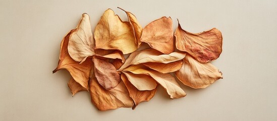 Poster - Dried water apple leaves arranged artistically on a neutral background showcasing their natural texture and warm tones