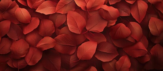 Poster - Vibrant red leaves layered background creating a rich and warm autumn atmosphere suitable for various design projects.