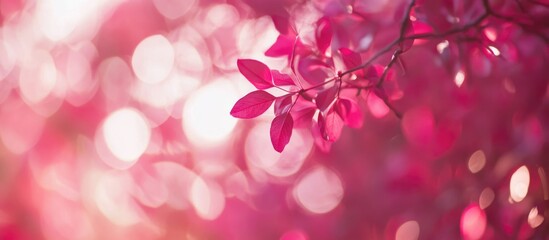 Poster - Abstract red bokeh lights with vibrant colors and blurred foliage creating a dreamy and artistic background.