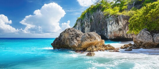 Poster - Scenic coastal view featuring a rocky shoreline with vibrant turquoise waters and lush greenery against a clear blue sky.