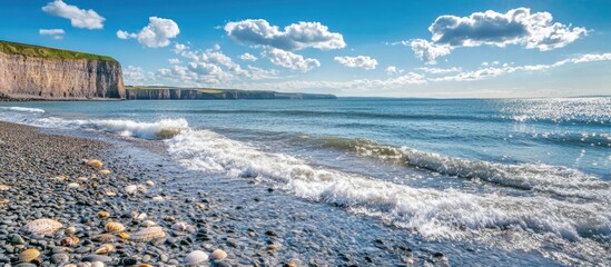 Poster - Sunlit Rocky Shoreline with Gentle Waves and Cloudy Blue Sky Over Calm Ocean