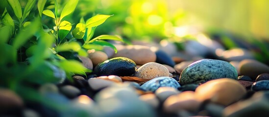 Aufkleber - Rocks and stones surrounded by fresh green foliage in spring with a soft depth of field effect.