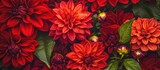 Vibrant red floral background featuring a variety of blooming red dahlias and lush green leaves for a rich, colorful aesthetic.