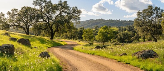 Aufkleber - Scenic dirt road winding through a lush countryside landscape dotted with rocks and trees under a bright blue sky