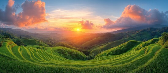 Poster - Lush green rice fields at sunset showcasing beautiful terraced agriculture in the serene countryside landscape.