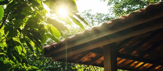 Poster - Sunlight filtering through lush foliage over a rustic wooden roof in a serene natural setting