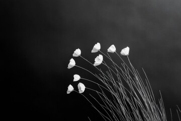 Aufkleber - Monochrome Floral Movement Black and White Wildflower Arrangement in Abstract - Artistic Interior Decor for Modern Spaces and Creative Design Inspiration
