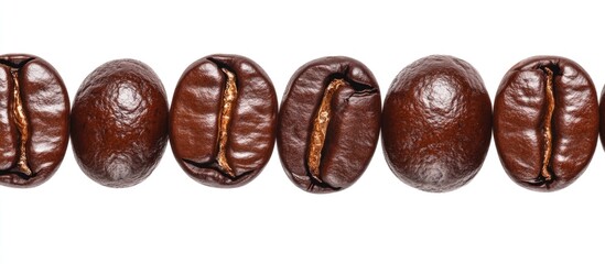 Poster - Roasted coffee beans arranged in a row on a white background showcasing rich textures and color variations