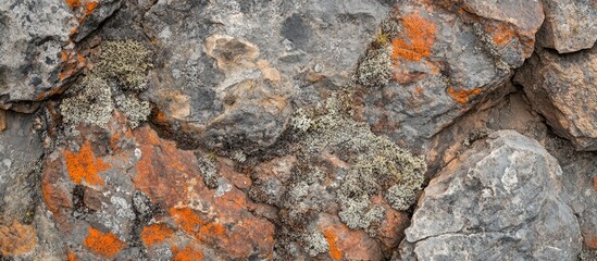 Poster - Textured rocky stone wall with moss and lichen in earthy tones suitable for nature and background designs.