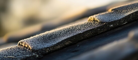 Leinwandbilder - Slate grey ceramic roof tile texture with frost detailing on a blurred background, ideal for architectural and construction themes.