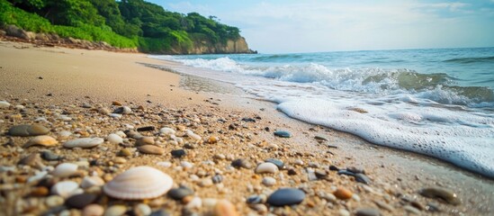 Aufkleber - Tranquil rocky beach landscape featuring sand, pebbles, and gentle waves under a clear blue sky with lush greenery in the background.