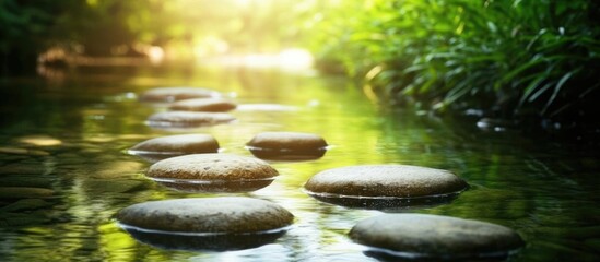 Aufkleber - Tranquil river scene featuring smooth stones leading through shimmering water surrounded by lush greenery and soft sunlight.