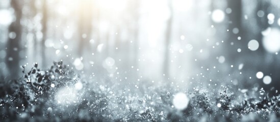 Aufkleber - Soft gray bokeh background with shimmering light reflecting through a dreamy nature forest setting