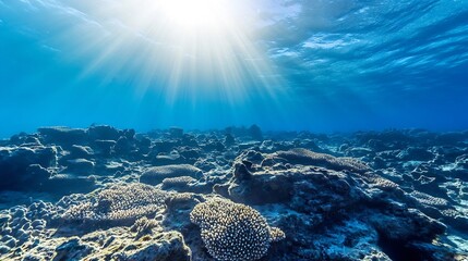 Aufkleber - Underwater view of vibrant coral reef illuminated by sunlight showing rich marine life and beauty : Generative AI