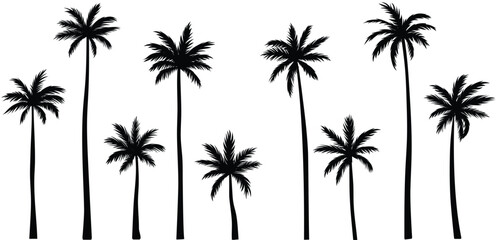 Black palm tree set vector illustration isolated on white background silhouette art black white stock illustration logo icon png. tropical, beach, landscape, pattern, paradise, coconut background