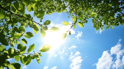 Aufkleber - Bright sunlight filtering through lush green leaves creating a serene atmosphere in a beautiful natural setting : Generative AI