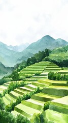 Wall Mural - serene watercolor landscape of lush green terraced fields with majestic mountain view, sustainable a