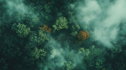 Poster - Mystical green smoke swirling, abstract dark background creating an ethereal atmosphere, perfect for artistic projects.