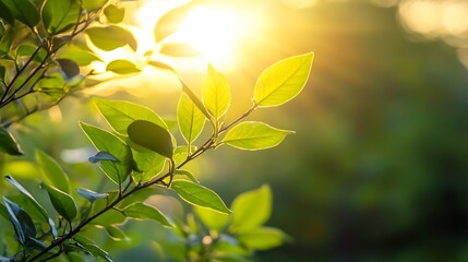 Aufkleber - Vibrant green leaves illuminated by sunlight showcasing the beauty of nature and renewal : Generative AI
